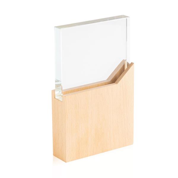 Troféu de Madeira e Vidro