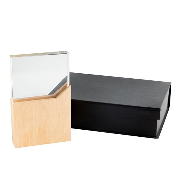 Troféu de Madeira e Vidro