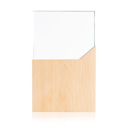 Troféu de Madeira e Vidro